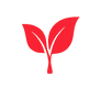 no_paraben_icon